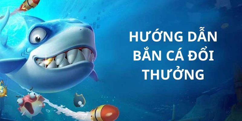 Các thao tác tham gia chơi săn sinh vật biển đến quý hội viên